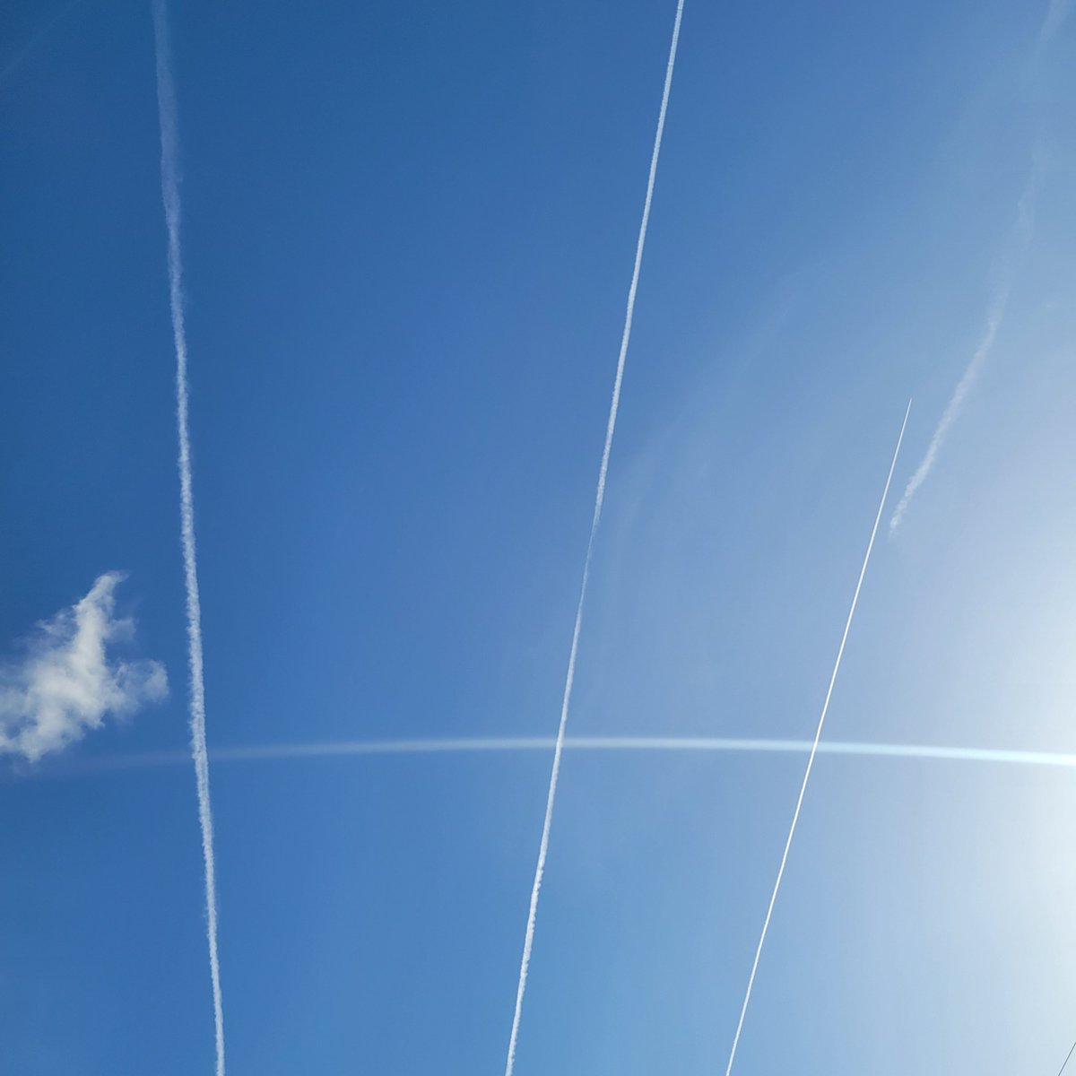 bufotoad1's tweet image. 5pm 1/9/22 palm coast fl