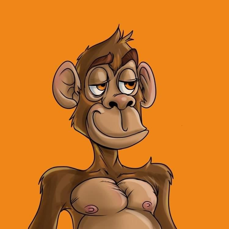 monkeysnftBr's tweet photo. Brazilian NFT Monkeys

https://t.co/xRiQRXmYUV https://t.co/vL5oLoGisa