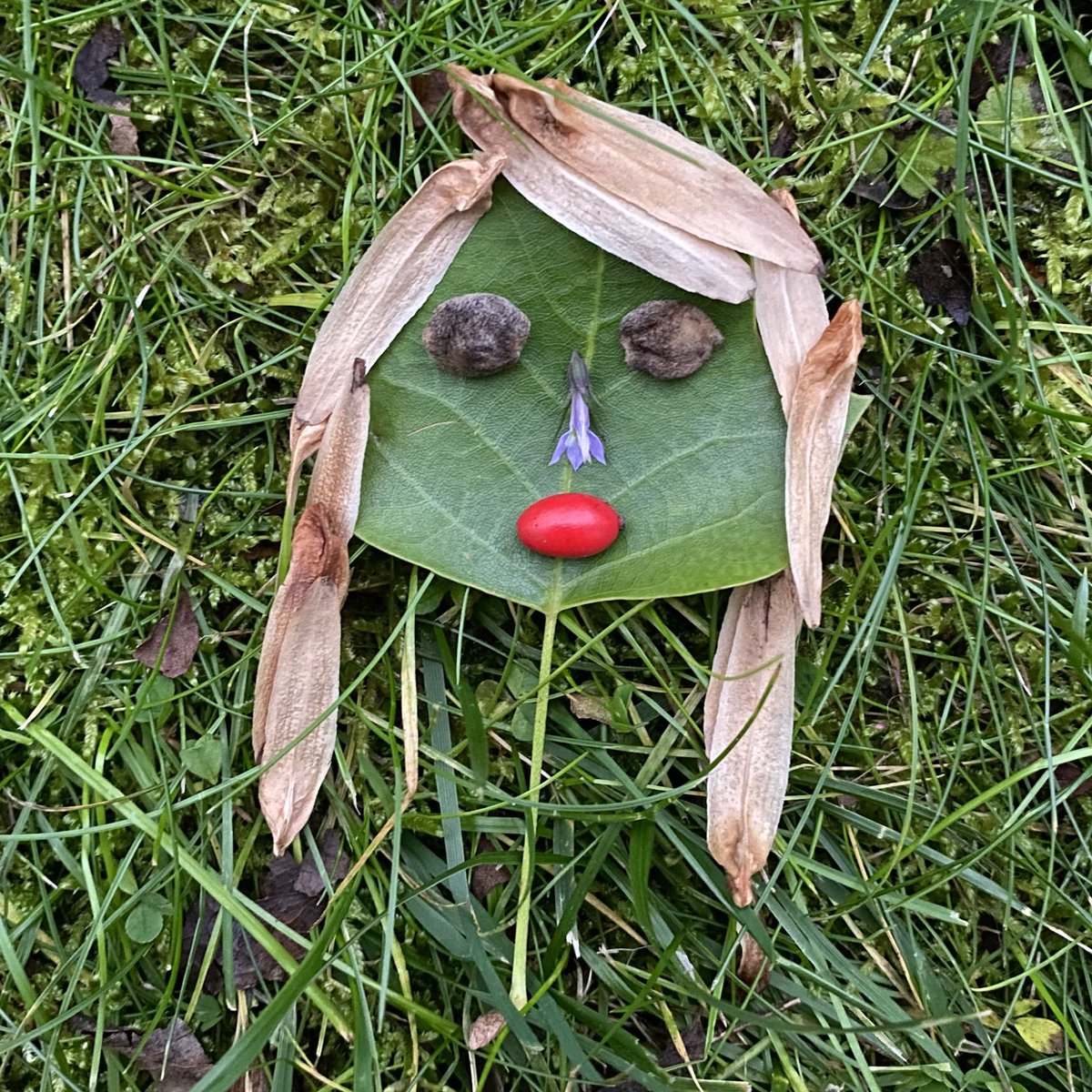 sashastiles's tweet photo. @bryanbrinkman meanwhile my hand-coded #ecopunks pfp project is flying well under the radar π€£ https://t.co/wIB05fYNZE
