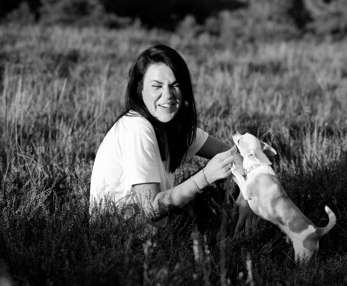Pip_Jansse's tweet photo. Mama had afgelopen zomer een fotoshoot georganiseerd. Ik was vooral geïnteresseerd in de snoepjes zoals jullie kunnen zien. Dikke kus, Jansse #Brunssumerheide #Fotoshoot #DogsofTwittter #Chihuahua #Liefde #Smile https://t.co/DIJDPxtKpL