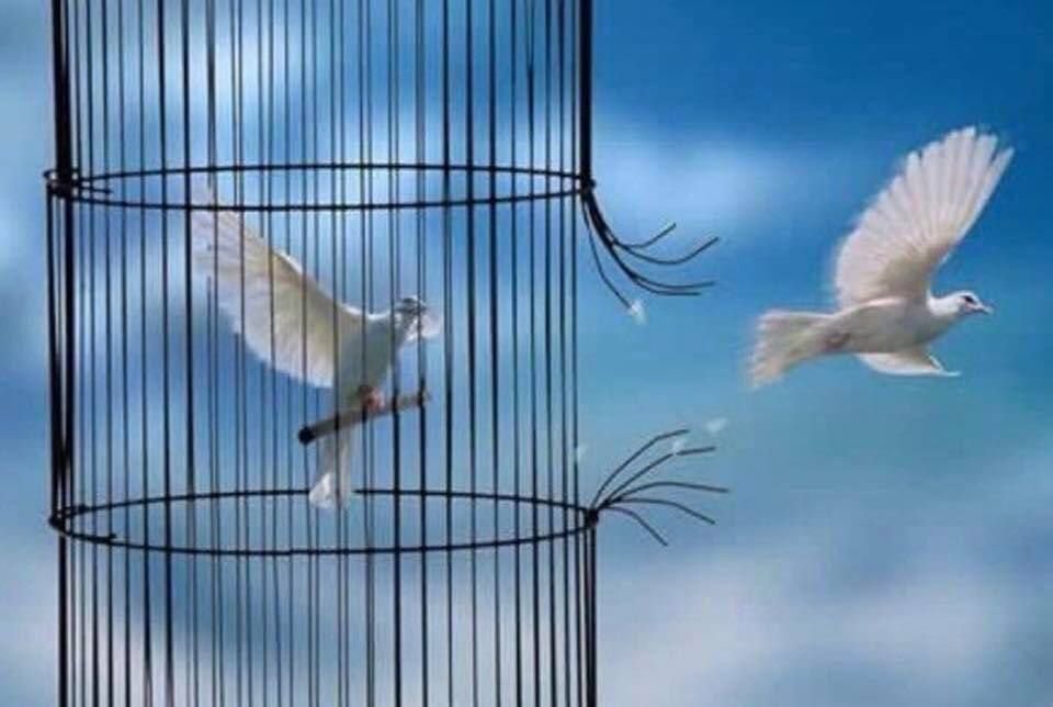 ahmed_99099's tweet photo. اذهب حيث يرتاح قلبك ..
اذهب حيث ترغب أنت ..
 حيث تشعر بالأمان والاطمئنان ..

لا تأخذ اتجاهاً لايعجبك فقط لأن الآخرين قد أخذوه…

#اسطول_زعماء_تويتر
#قروب_المسافر_فهد
#مملكة_قمر_الكون_للدعم https://t.co/aaIDWw73oj
