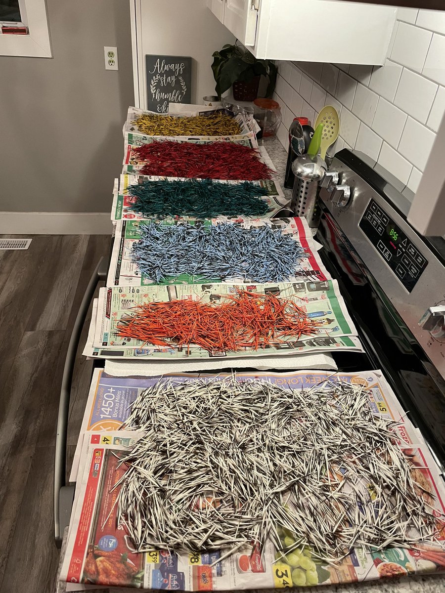 MelPeterPaul's tweet photo. This is what a 13 hour day looks like for me. Can you believe this is all from one porcupine? 
I started early in the morning by cleaning the quills in the tub, it took three long washes and rinses. Then it was time to dye! 

Quills harvested by Janice Simon from Elsipogtog. https://t.co/enCxuBsA0J