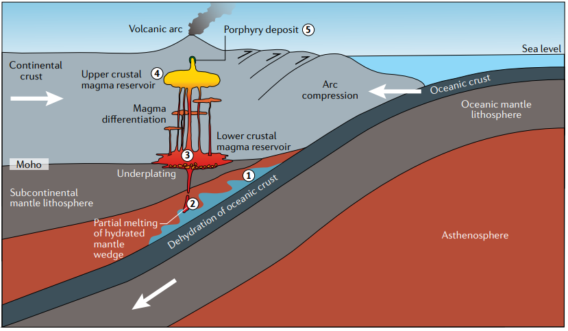 NatRevEarthEnv's tweet photo. One year on! 

Crustal magmatic controls on the formation of porphyry copper deposits 🌋🪨🪙

Review by Park et al. @CinTyLeeEarth  @MassimoChiarad1  @unige_en  @sciences_UNIGE  @UNIGEnews  @RiceEarthSci  @anuearthscience 
 
https://t.co/RapX2kAzjo https://t.co/acCjiDaHTY