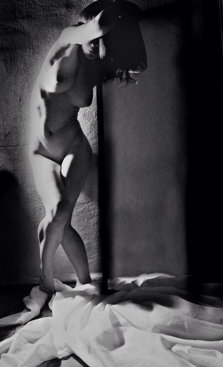 <a href="/BoxDogsNFT/">NFT</a>