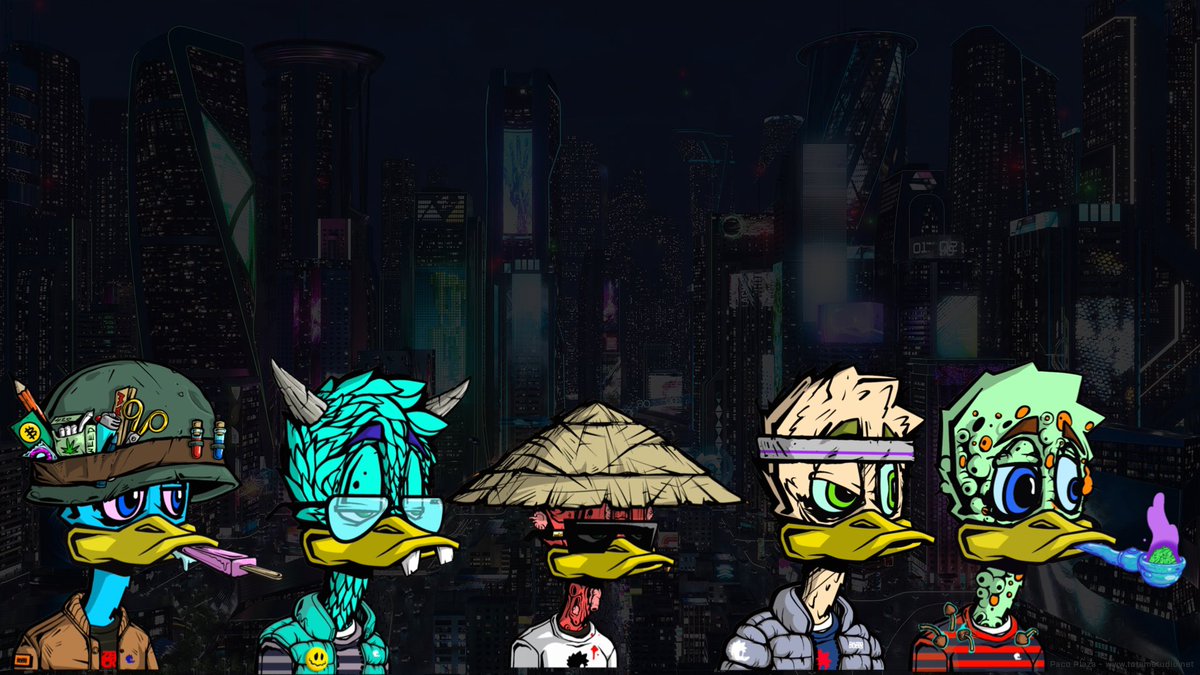 BackToYahusha's tweet photo. @sol_nfts FIND ME A BETTER WHITEPAPER!!!! @DazedDucks HANDS DOWN BEST SOL NFT COLLECTION!!!! https://t.co/Kbu09UgXU4