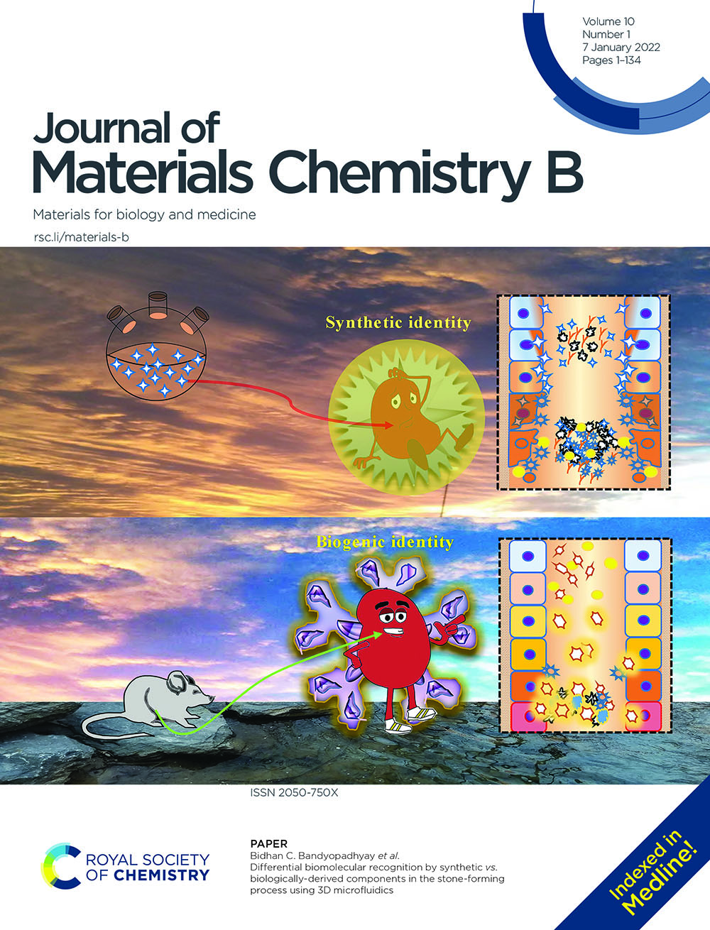J. Mater. Chem. family on X: &ldquo;Issue 1 of @JMaterChem B is out now 