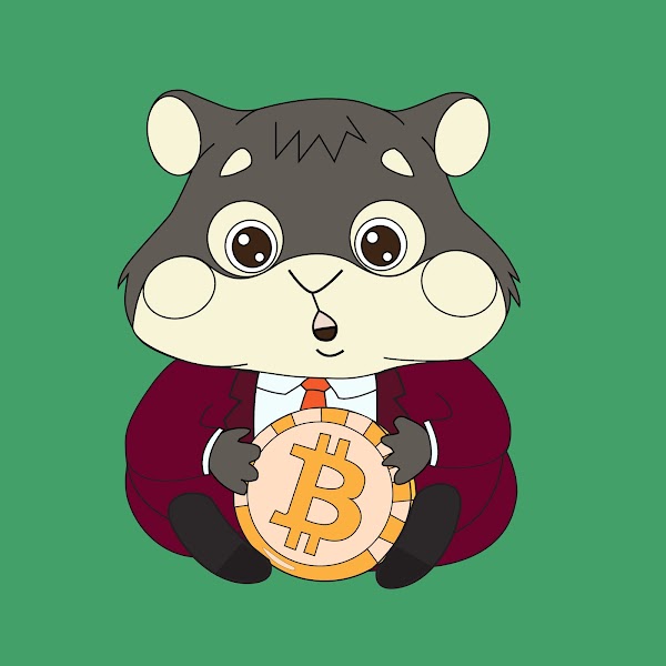Hamsters Boom tweet media