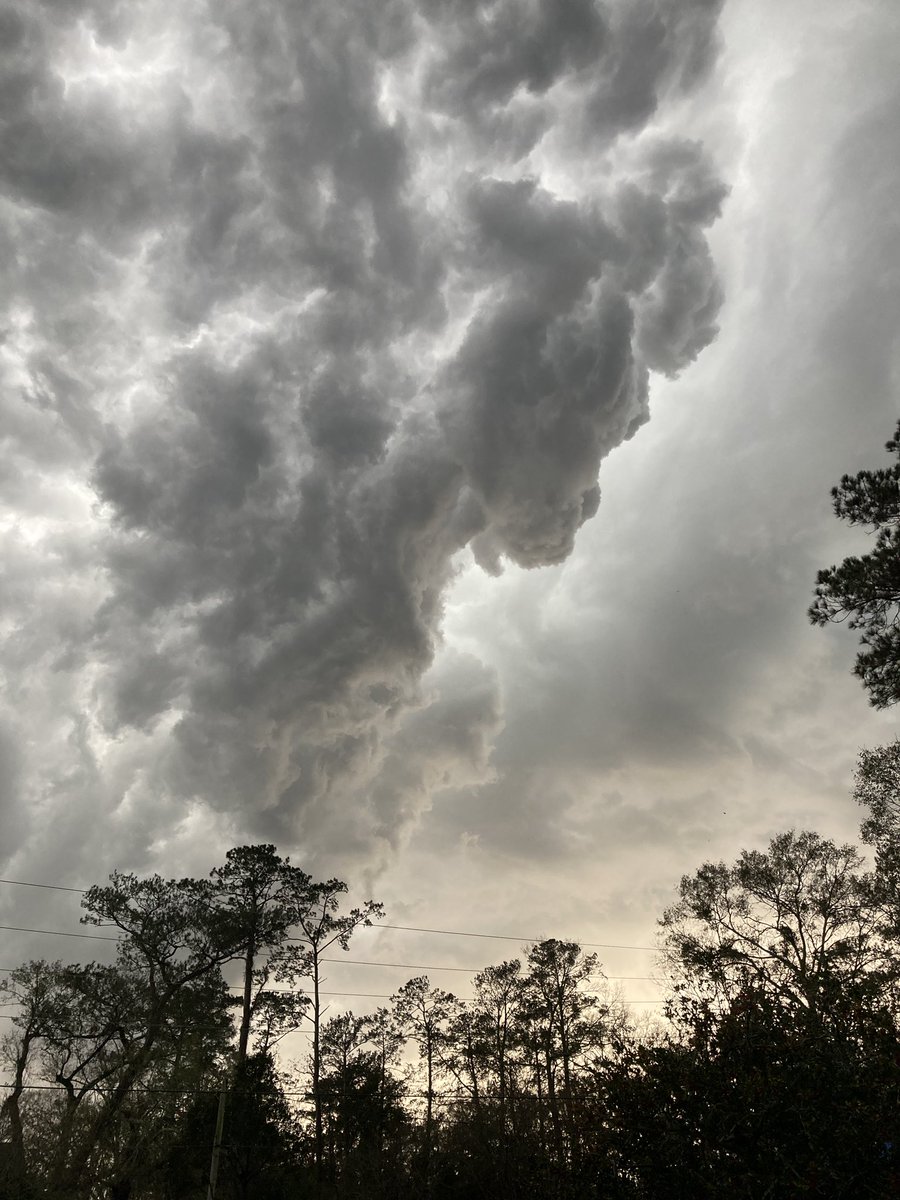 lecorgne's tweet photo. @MargaretOrr Crazy weather at our house!! #covington #nola https://t.co/QPjmPZ9Xhq