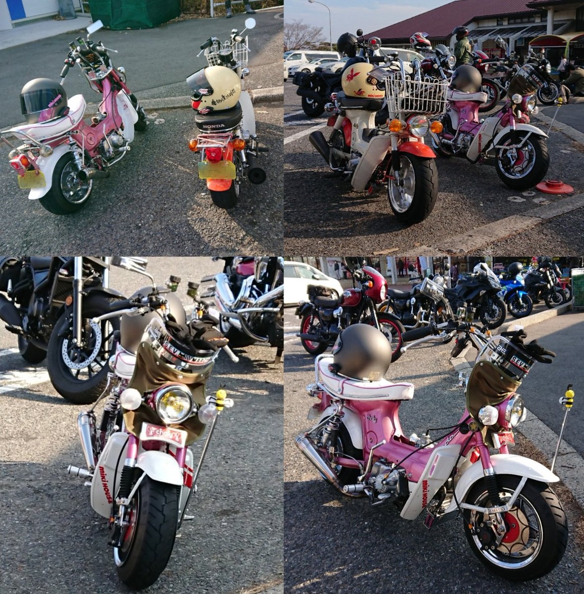 kp6115's tweet photo. ＃道の駅一本松展望園
＃一本松展望園

＃絶版車
＃絶版バイク
＃昭和バイク
＃可愛いバイク
＃おしゃれなバイク 

＃4MINI
＃4ミニ

 ＃シャコタン
＃絞り風防
＃絞りハンドル 
＃くるくるハンドル

＃Chaly
＃シャリィ
＃シャリー
＃CF50
＃CF70

https://t.co/lFwhe16288

https://t.co/ogbQ62r5pt https://t.co/lNB6MGgp6F