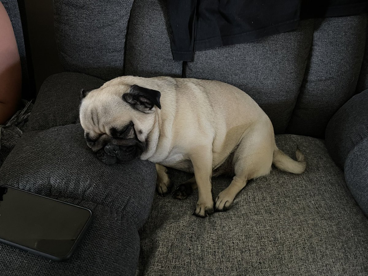 trashlee8's tweet photo. @d3monic666 I am not coping without you I need you to come home I’m so depressed 😭 https://t.co/KZ8sRTfmly