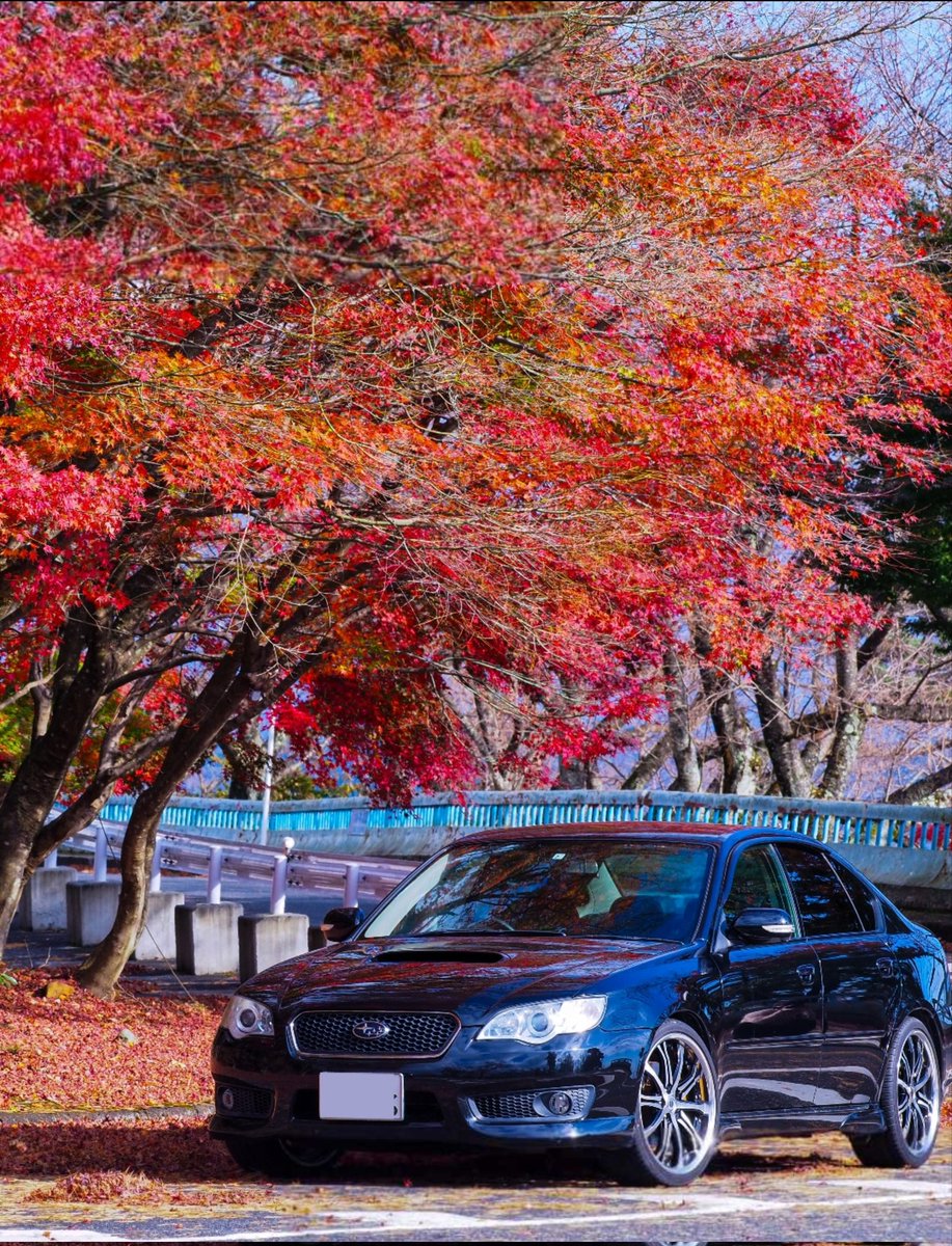 codsrdsr's tweet photo. #スバル乗りと繋がろう2022新春

レガシィ乗り出して2年目。

めっちゃ安定感あるし、長距離も全然疲れへんし何より運転してて楽しい。
どこまでも連れていってくれるやつ。

最高の車です。 https://t.co/54dNLxoh7z