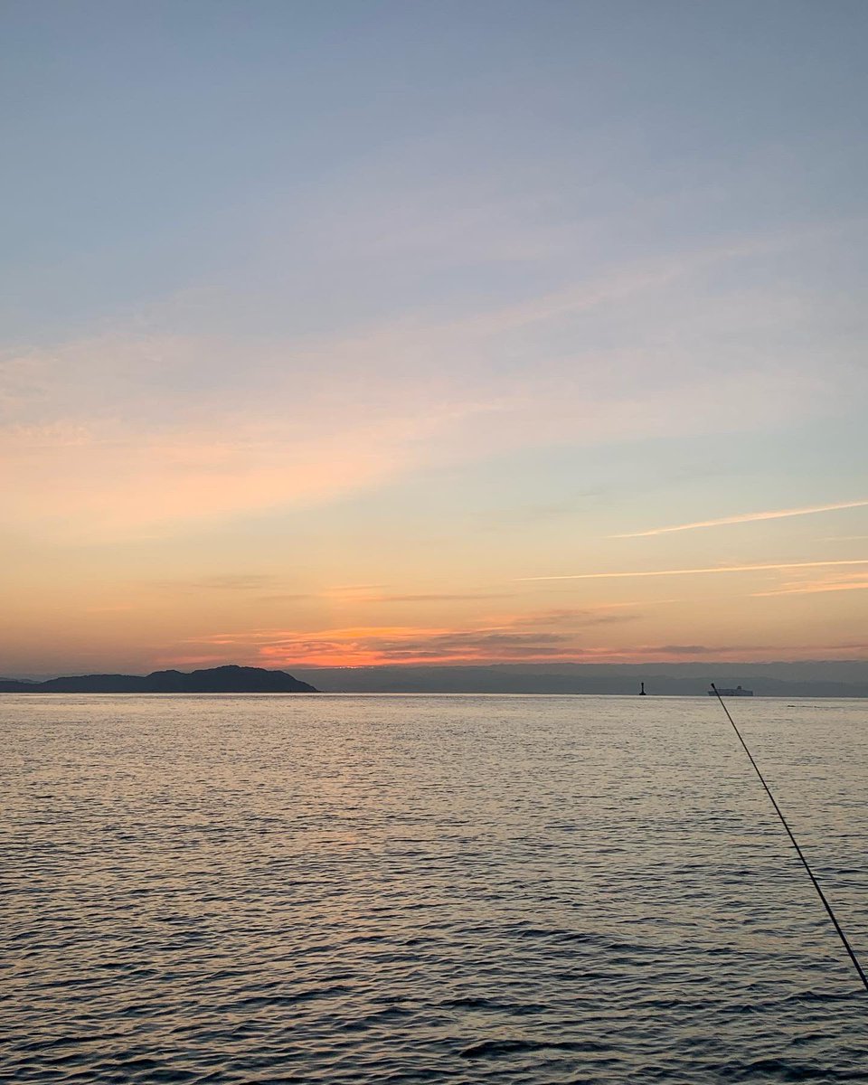 masasan_norisan's tweet photo. 昨日は今年初釣りに🎣淡路島由良港沖で鯛狙いで‼️結果、4人で鯛20匹、ハマチ1匹、船頭さん1人で15匹🥲流石プロ👏
#淡路島釣り
#釣り
#船釣り https://t.co/0Tpk0VuNY1