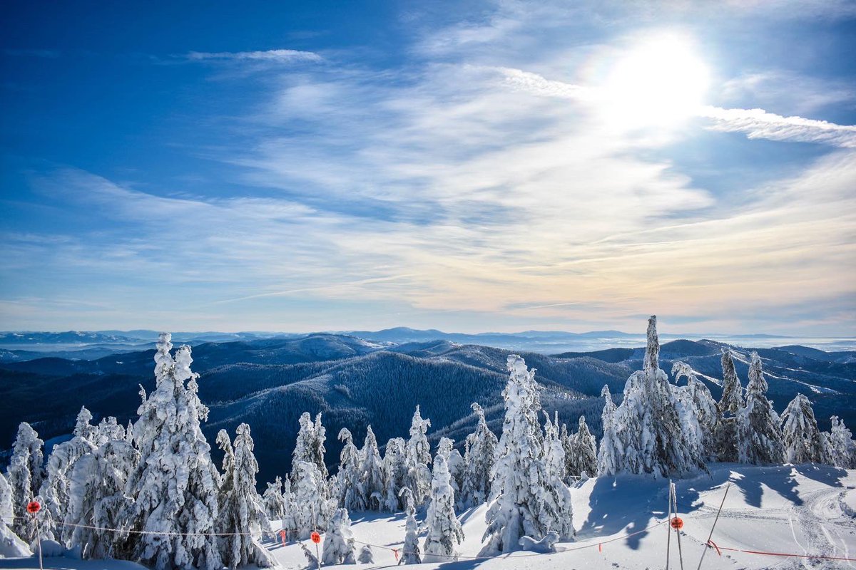 49DegreesNorth tweet media