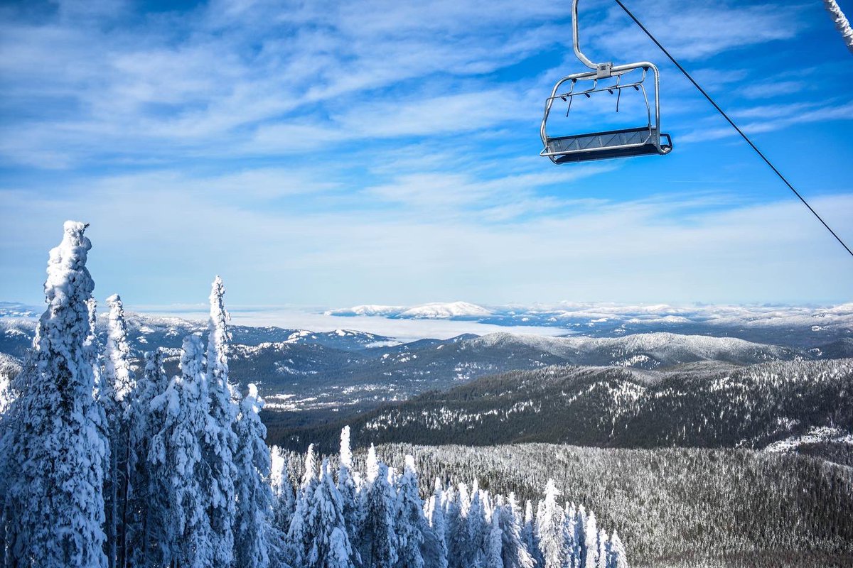 49DegreesNorth tweet media