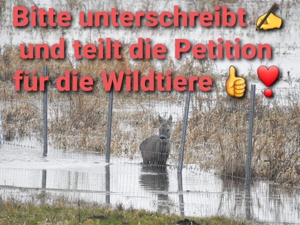 Grippe Biografie Schule tiere wollen leben Monat Pulver Gelee