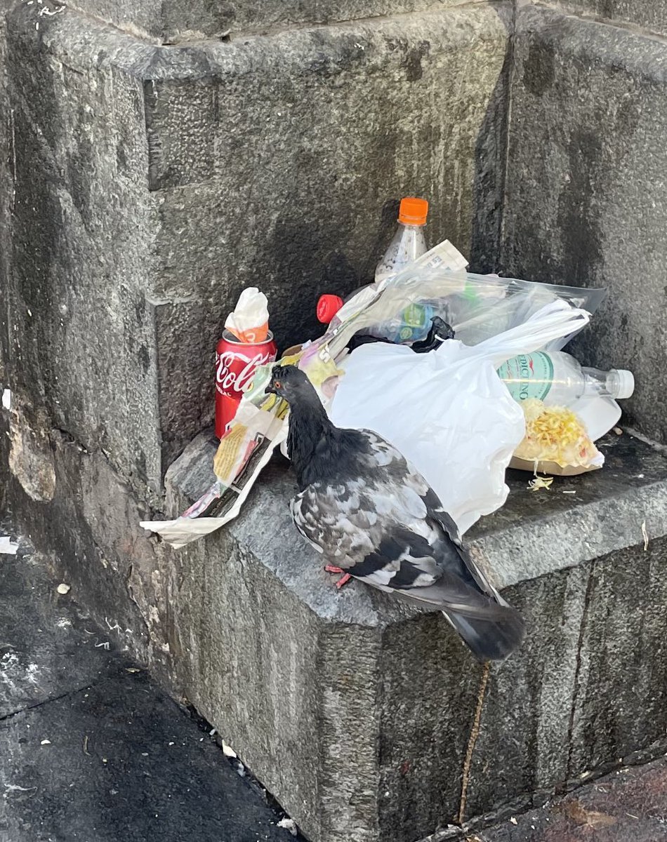 Palmcito's tweet photo. Esto es Santiago Centro un día de domingo, antes también había suciedad, pero de ninguna manera tanta, trabajar y vivir en el centro es complicado #LaSuciaHassler @Muni_Stgo https://t.co/I93X2K0UC6