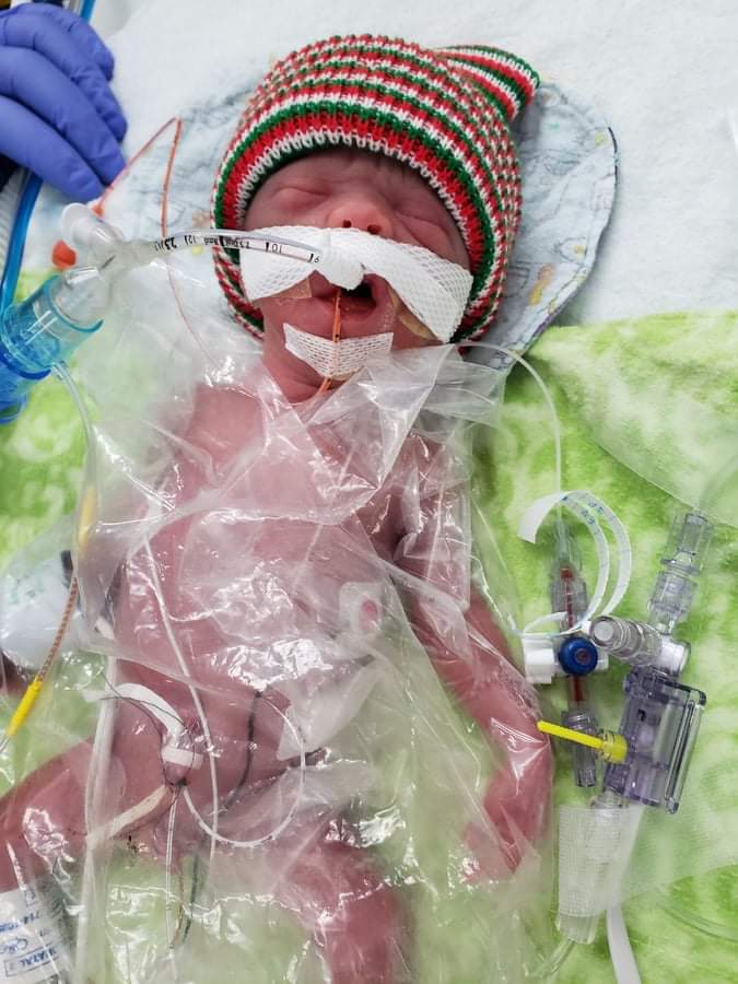 Albert Kamps tweet media