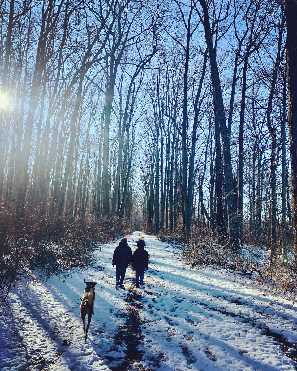 brake4spiders's tweet photo. So many different kinds,
yet only one vague word.
And the Eskimos
with twenty-six words for snow,

such a fine alertness
to what variously presses down. #stephendunn #snowday #vizsla #kidmom #lawmom #snowmom https://t.co/HGLzEzX4D2