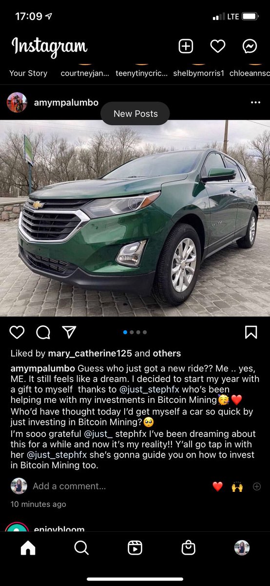 Amy Palumbo tweet media