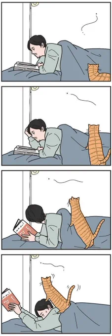 時に人は猫の踏み台にもなる【男の猫道】ねこのきもちWEB MAGAZINE限定話 vol.119|ねこのきもちWEB MAGAZINE https://t.co/Yj3ZnlWjgT 