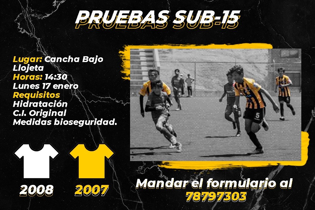 CAtigrados's tweet photo. ¡PRUEBAS SUB-15!
El día lunes 17 de enero se realizarán las pruebas para nuestra categoría Sub-15!

Debes llenar el formulario y enviarlo al 78797303!

https://t.co/DnEBecqRGE

#cachorrosatigrados 
#VamosCachorros 
⚽🇧🇴🐅 https://t.co/LZ2x8XVW5F