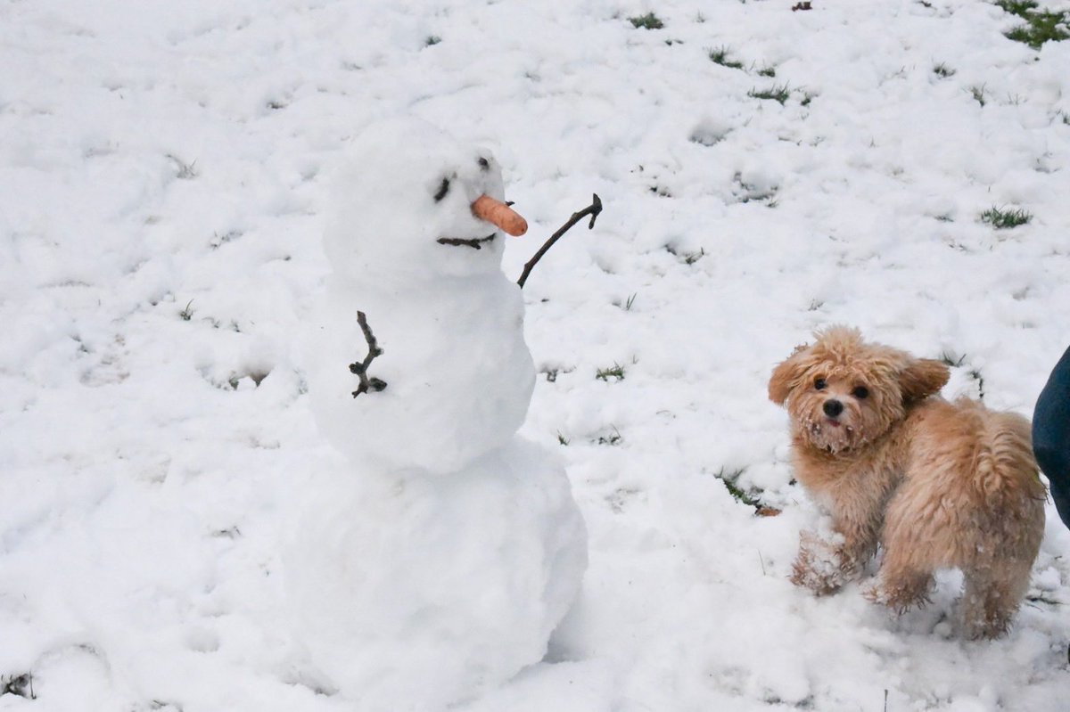 Running in the snow, first time in my life!! How beautiful and enjoyable!