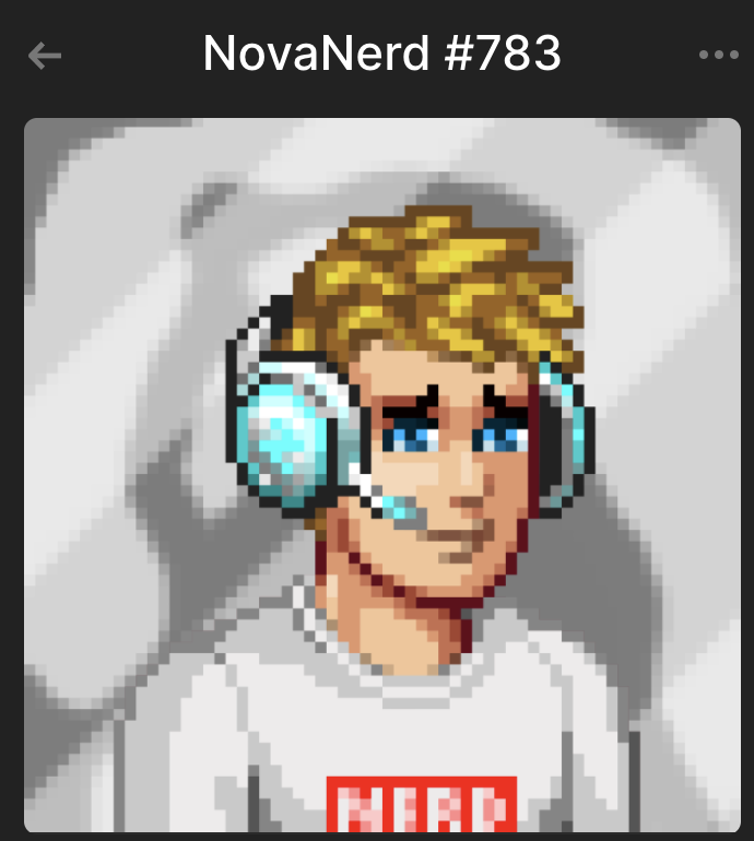 stephanredbull's tweet photo. Fook it. 
@NovaNerdsNFT giveaway round 2:
Last one raised floor price and brought total listed to ONLY 67.

This giveaway gives you access to the Profit Sharing  from @YourNFTHub (So who's winning passive income today?)

Like and RT to enter! 🚀💙 

Look at this cute couple https://t.co/11bGYZOyMK