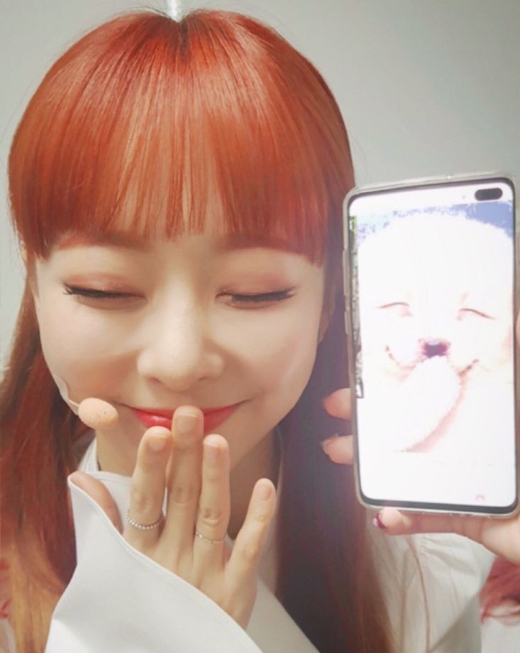 loonaoldpics's tweet photo. #비비 #VIVI #LOONA #이달의소녀 https://t.co/irCmV6pkbe