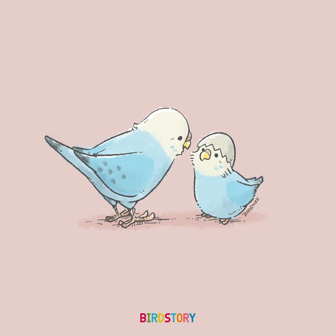 セキセイインコのtwitterイラスト検索結果