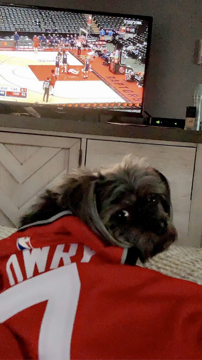 xolaur's tweet photo. “stop taking pictures, I’m trying to watch the game” #tangerinefanangle #raptors #FredVanVleet #NBAAllStar https://t.co/YTzG5ZQSpR