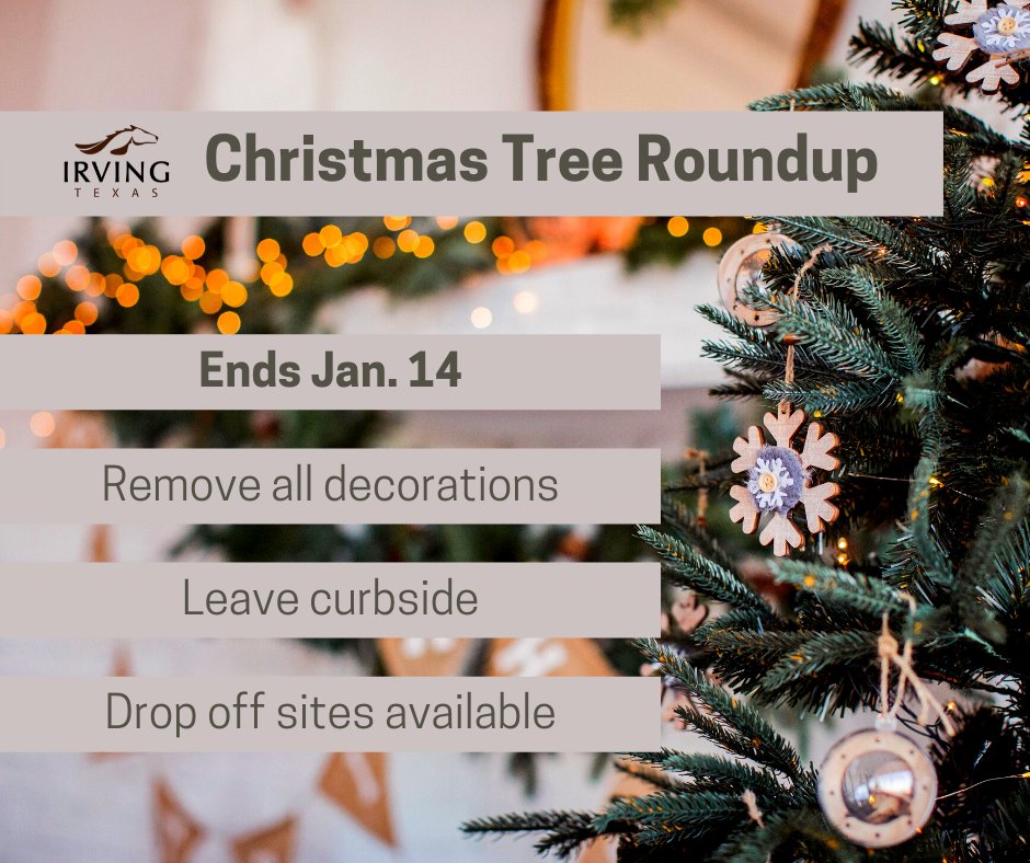 Christmas Roundup 2022 City Of Irving On Twitter: "Residents Can Properly Dispose Of Fresh-Cut  Christmas Trees For Recycling During Irving's Annual Christmas Tree Roundup.  Fresh-Cut Christmas Trees Will Be Collected As Part Of Irving's Regular