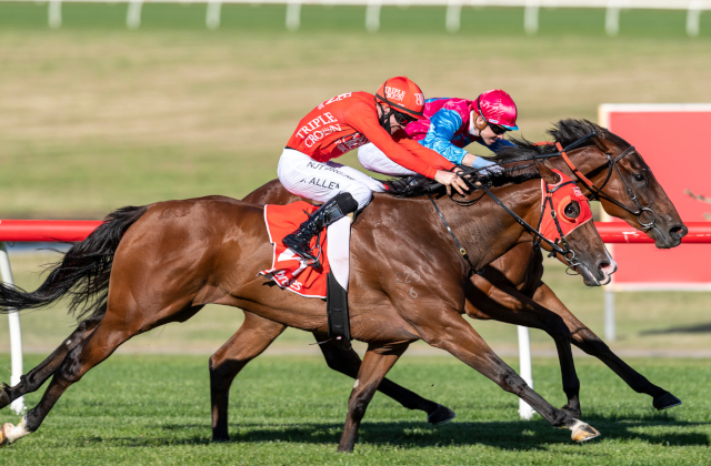 ArrowfieldStud's tweet photo. What do $30k @mmsnippets graduate Missile Mantra and $1.9m sale-topper Profondo have in common? They are two of Arrowfield's 30 Stakes-performing Magic Millions graduates since 2017. #somethingforeverybudget #magicstats #arrowfieldgraduates #puremagic https://t.co/vMUnwdfnGt