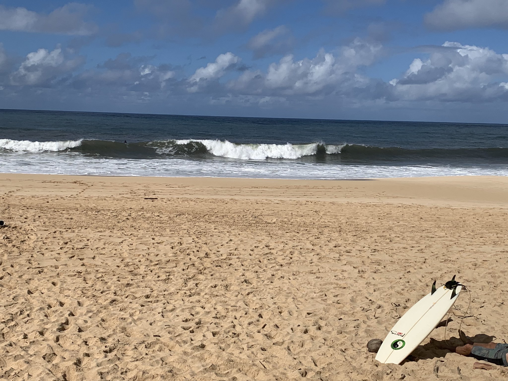 Aki S Hawaii Akishawaii1 Twitter