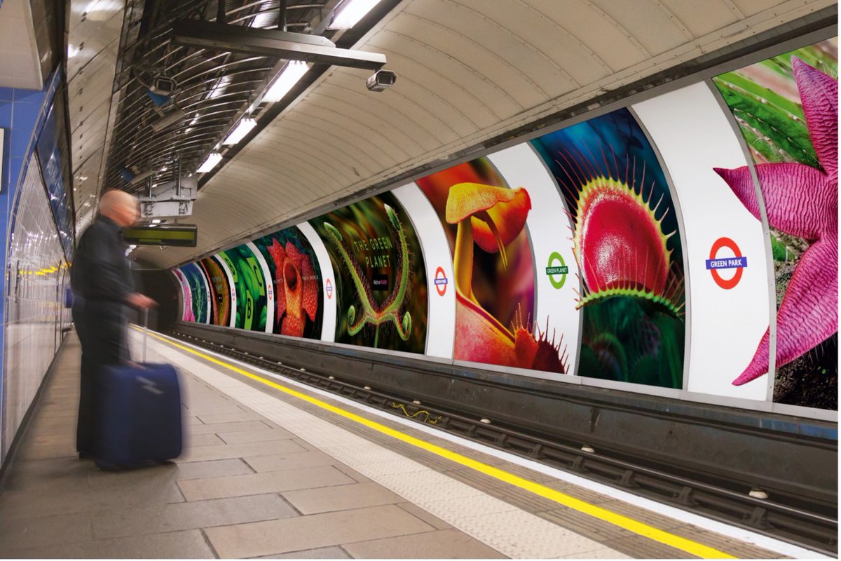 TheDrum's tweet photo. Green Park station becomes Green Planet to launch Attenborough’s latest for BBC https://t.co/0pN4b8DTY9 https://t.co/Mq9HaM9oeL