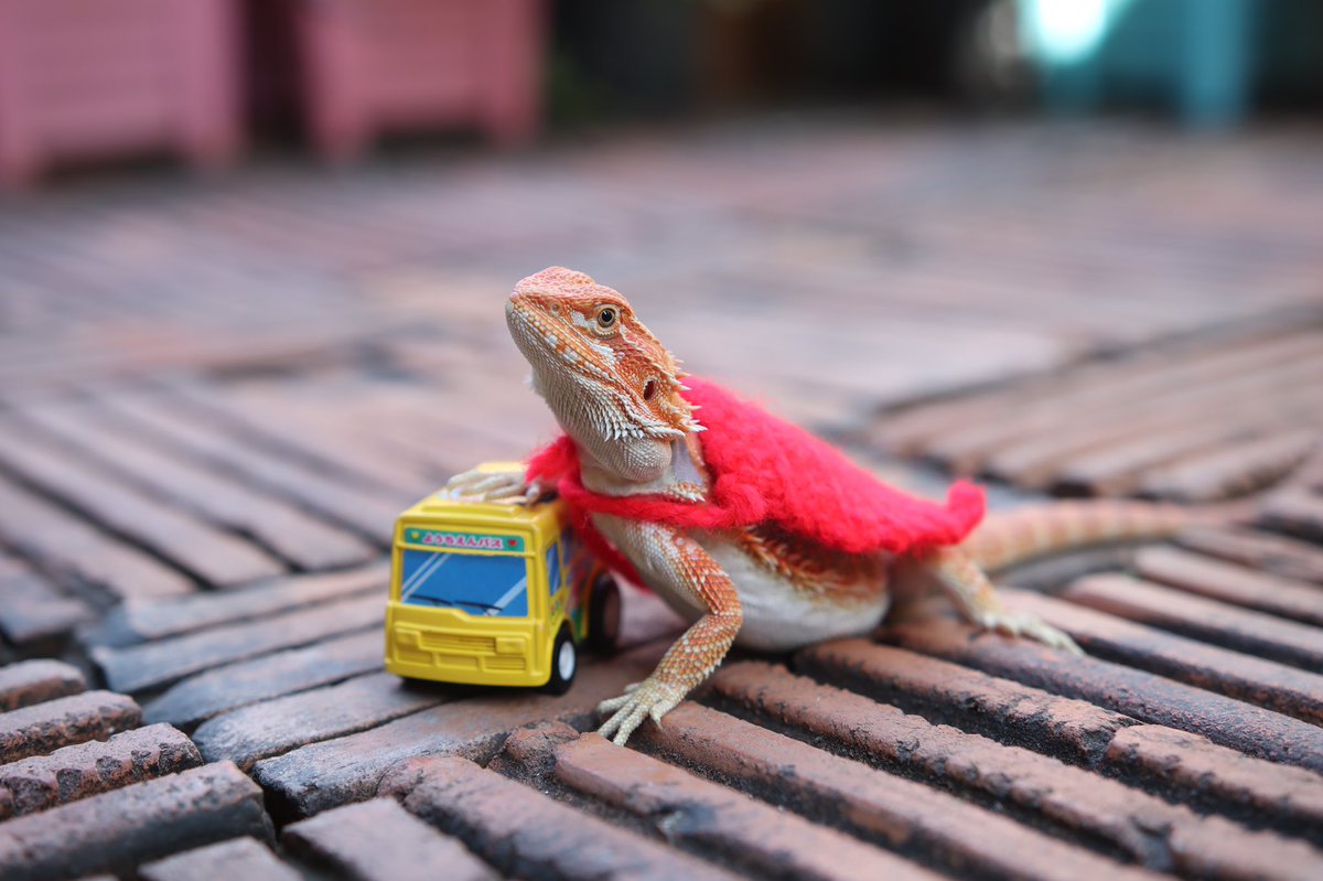 Pakkapol tweet media