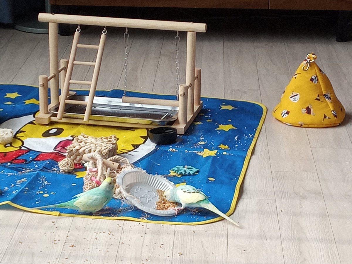 일상1 : 밥 야무지게 먹어주기