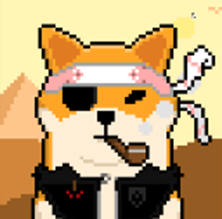 shibashowcase's tweet photo. You can chose the best among these 4 entries.

A) Dr.shibsparrow           B) Oshi Kush
C) Charizard Inu           D) Mad Max Shiba
Poll below👇 https://t.co/jsT3dOoGBz