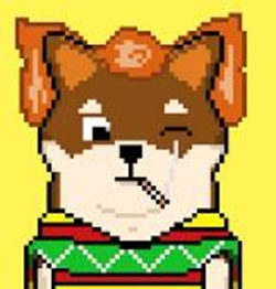 shibashowcase's tweet photo. What do you think? Which one is the best?

A) Dr. Shibaa Sins           B) Leash Collector
C) Indiana Jones           D) UglySweater Shiba
Poll below👇 https://t.co/xmw2JkQW62