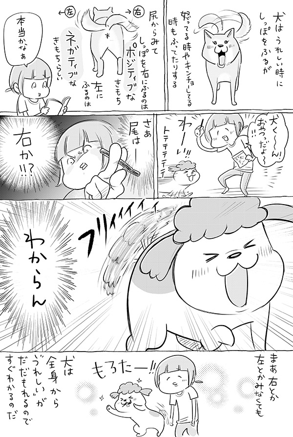 ペットの左右をチェックしたら、まさかの展開にドキッ…! 悶絶する人が続出『犬と猫どっちも飼ってると』 https://t.co/LZz9apyDx6 @grapeejpより 