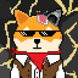 shibashowcase's tweet photo. Use the poll below to select your favorite.

A) Old Shib Westy           B) CYCLOKU
C) Shiburai           D) HungryShib (eating zeros)
Poll below👇 https://t.co/HDxVnSU9kz