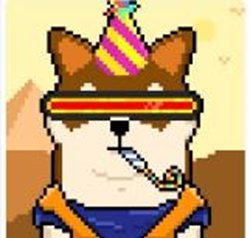 shibashowcase's tweet photo. Use the poll below to select your favorite.

A) Old Shib Westy           B) CYCLOKU
C) Shiburai           D) HungryShib (eating zeros)
Poll below👇 https://t.co/HDxVnSU9kz