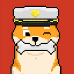 shibashowcase's tweet photo. Use the poll below to select your favorite.

A) Old Shib Westy           B) CYCLOKU
C) Shiburai           D) HungryShib (eating zeros)
Poll below👇 https://t.co/HDxVnSU9kz