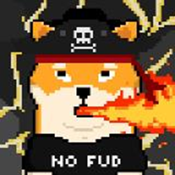 shibashowcase's tweet photo. Help us decide which one should compete for the big prize!

A) Mr. Shibrush           B) Dr. Defi Feelgood
C) GOLDENSHIBA           D) Mr. Firulays.
Poll below👇 https://t.co/ySx6SaFFuz