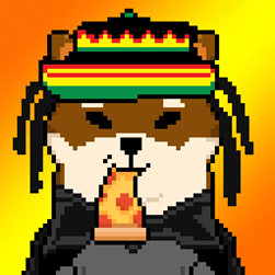 shibashowcase's tweet photo. Who should win?

A) Shibatoshi           B) THE  GANJASHIB   WAGWAN
C) Spaceranger           D) Snoop Shib Dogg
Poll below👇 https://t.co/A4goRfy8tK