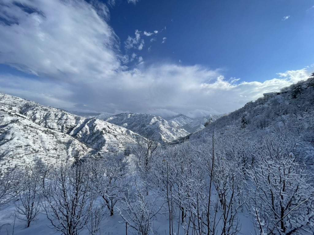 shailov_c's tweet photo. First of 22’ ❄️ https://t.co/xBiGl0929Q