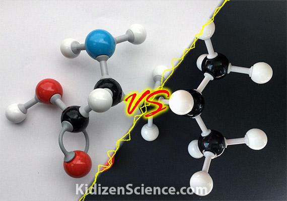 KidizenScience's tweet image. How do the inexpensive off-brand #molecular #model kits we found earlier compare to "The Real Deal?" Mediocre quality knock-offs or a boon to tight classroom budgets? We bought a few to test ourselves! Read our new Toolbox post to see how they stack up: kidizenscience.com/2022/01/10/off…