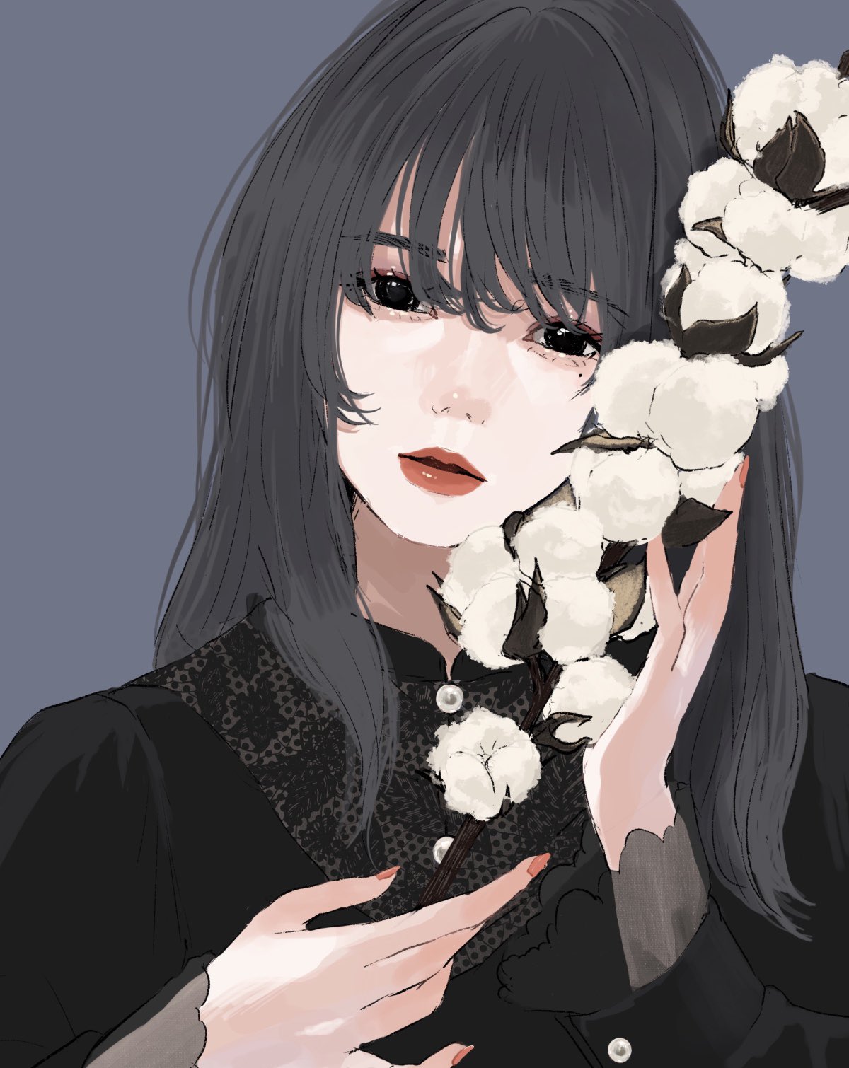 Moeco 私を包んで イラスト 綿花 花言葉 T Co Ow8tisw05k Twitter