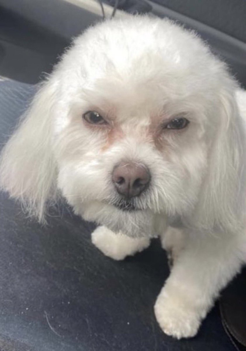 _FlylikeMir's tweet image. I’m finna Knock Sunshine shit in.