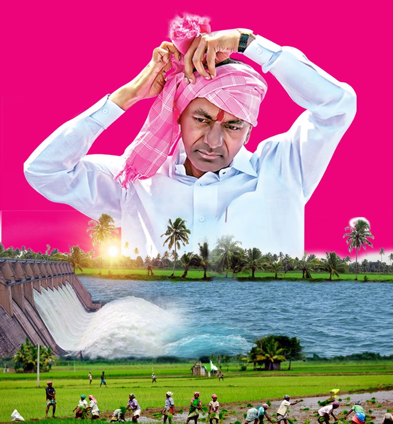 BRSHarish's tweet photo. అన్నదాతకు అండగా.. రైతు సంక్షేమంలో దేశానికే స్ఫూర్తిగా సీఎం కేసీఆర్ గారు ప్రవేశపెట్టిన పంట పెట్టుబడి సాయం "రైతుబంధు"  ద్వారా ఇప్పటివరకు అందించిన మొత్తం రూ.50,000 కోట్లు చేరుకున్న సందర్భంగా.. రైతు బాంధవుడు సీఎం కేసీఆర్ గారికి కృతజ్ఞతలు మరియు రైతన్నలకు శుభాకాంక్షలు!!
#RythuBandhuKCR https://t.co/Wa05AknDAC