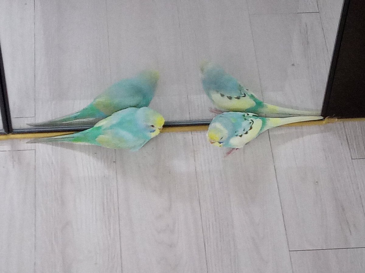 일상3 : 거울 앞에 있기